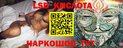 гидра Славгород