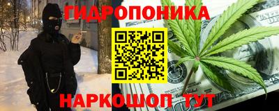 гидра Славгород