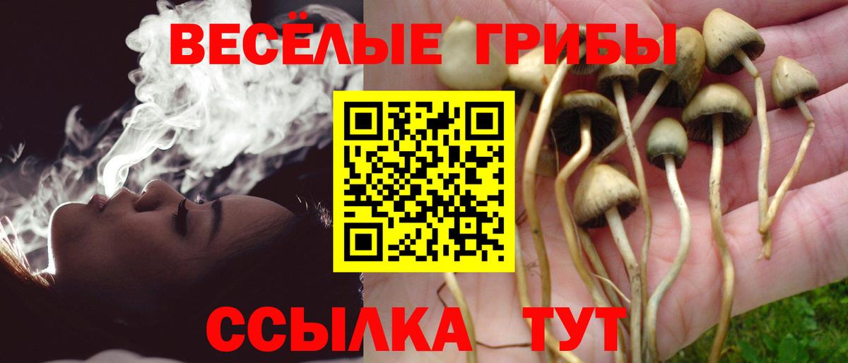 Галлюциногенные грибы Magic Shrooms  Вход с VPN  Орёл 